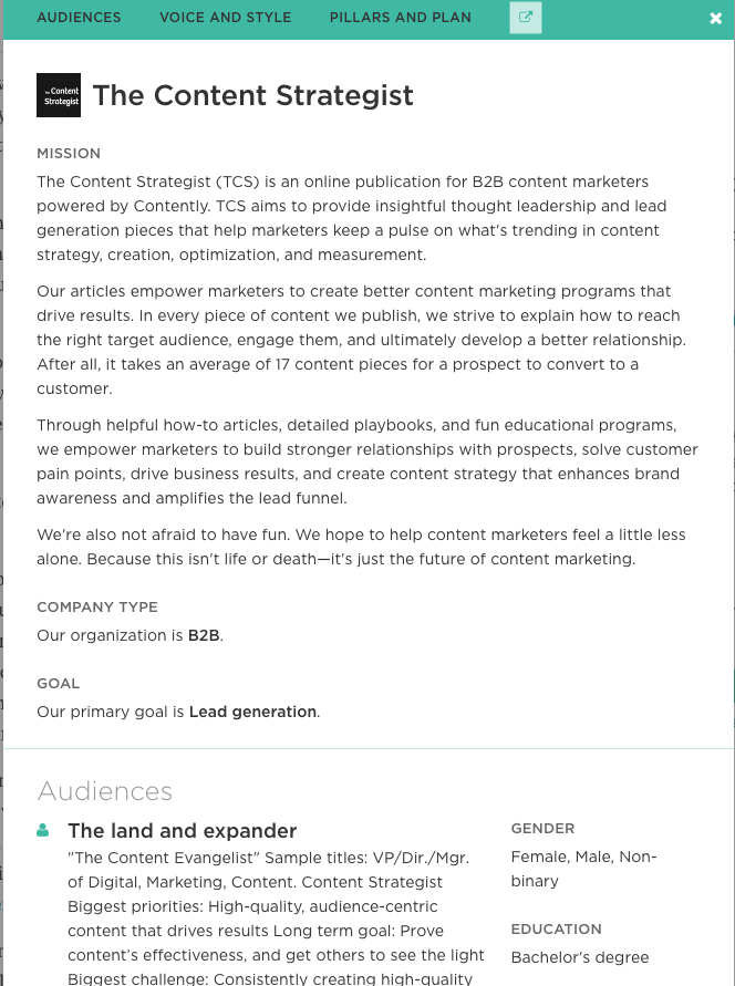 This is a text heavy screenshot for The Content Strategist blog. It is a listing of the content driving forces, like mission, audience, and more. This is being shared in an article about content marketing platforms.